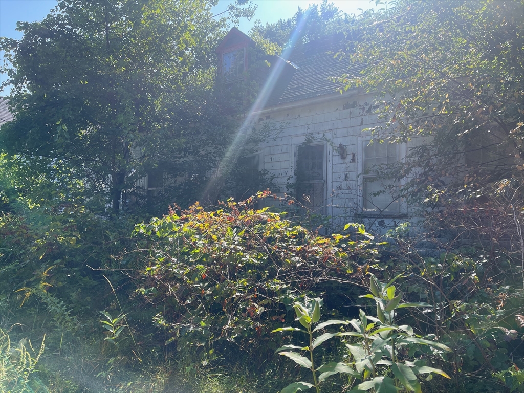 16 Liberty St Property Photo 3