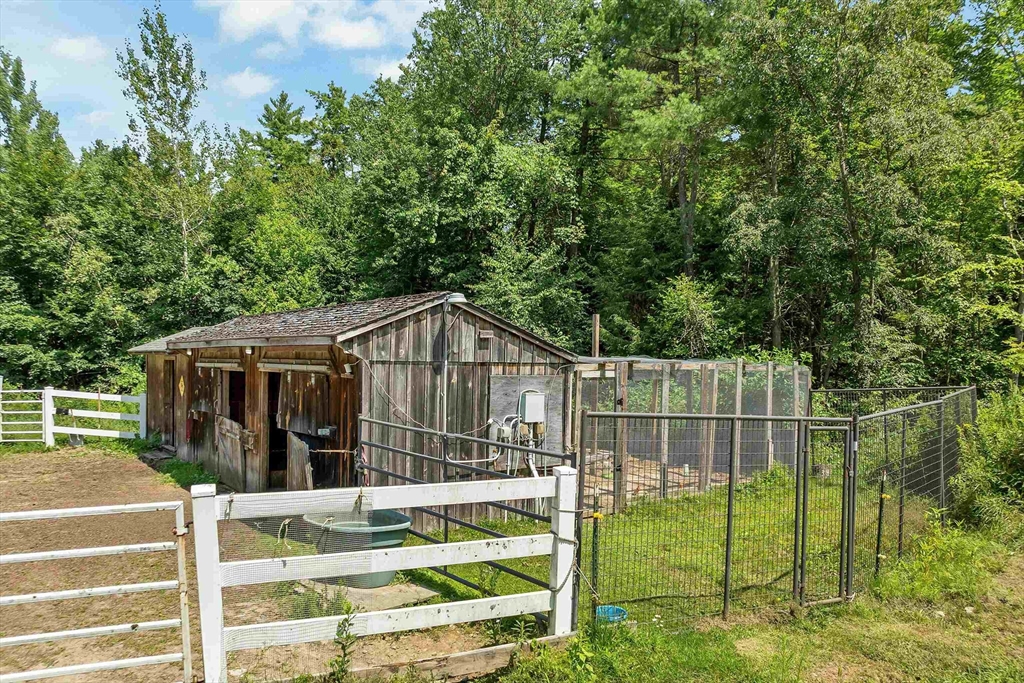 197 Grapevine Property Photo 6