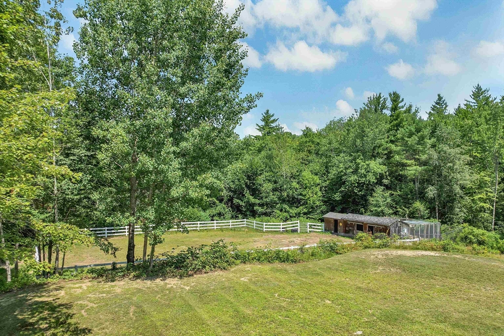 197 Grapevine Property Photo 8