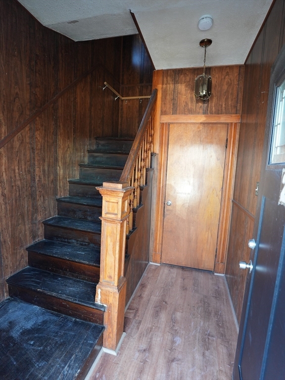 13 Belgrade St Property Photo 18