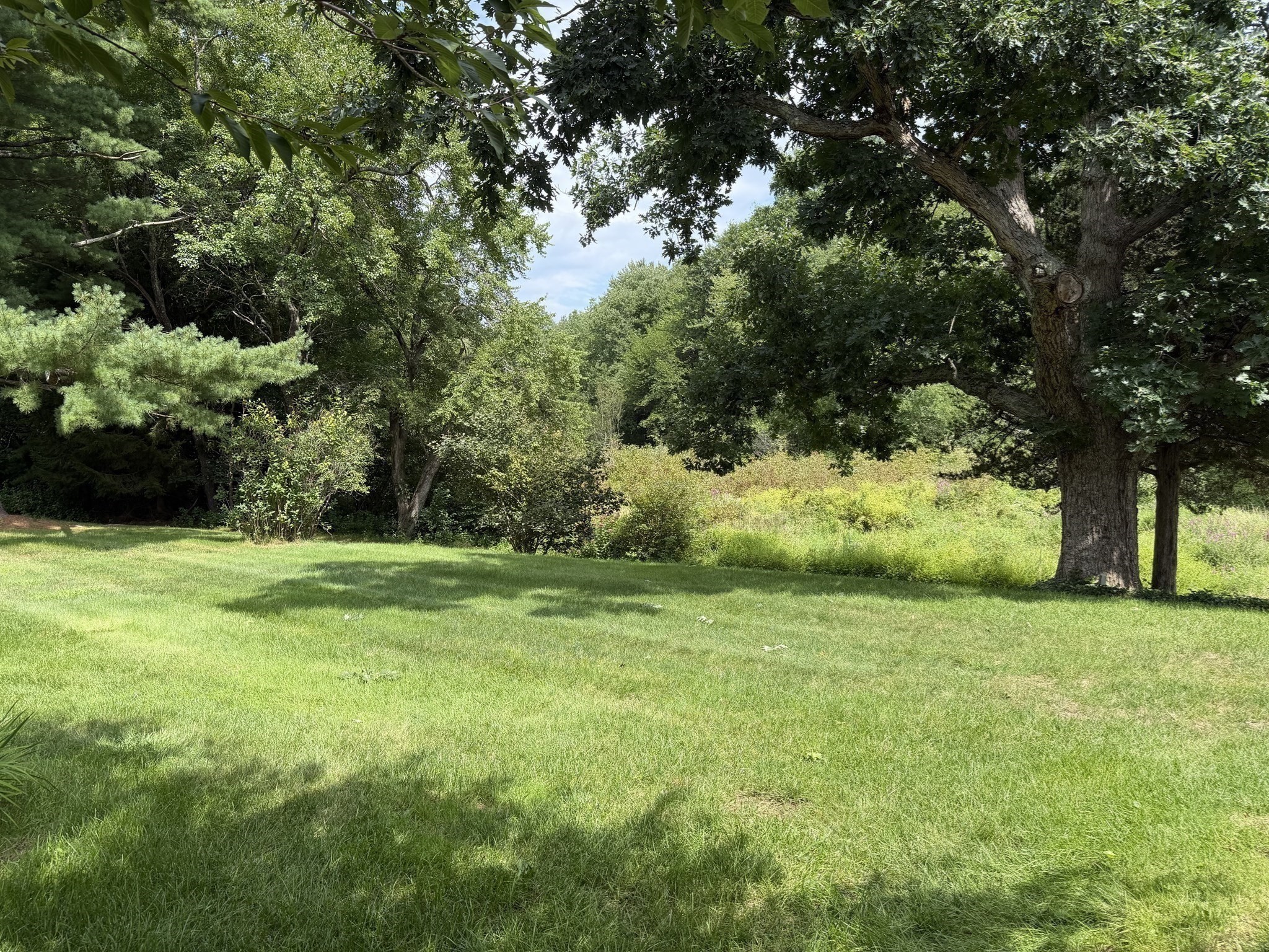 10 Shady Ln Property Photo 26