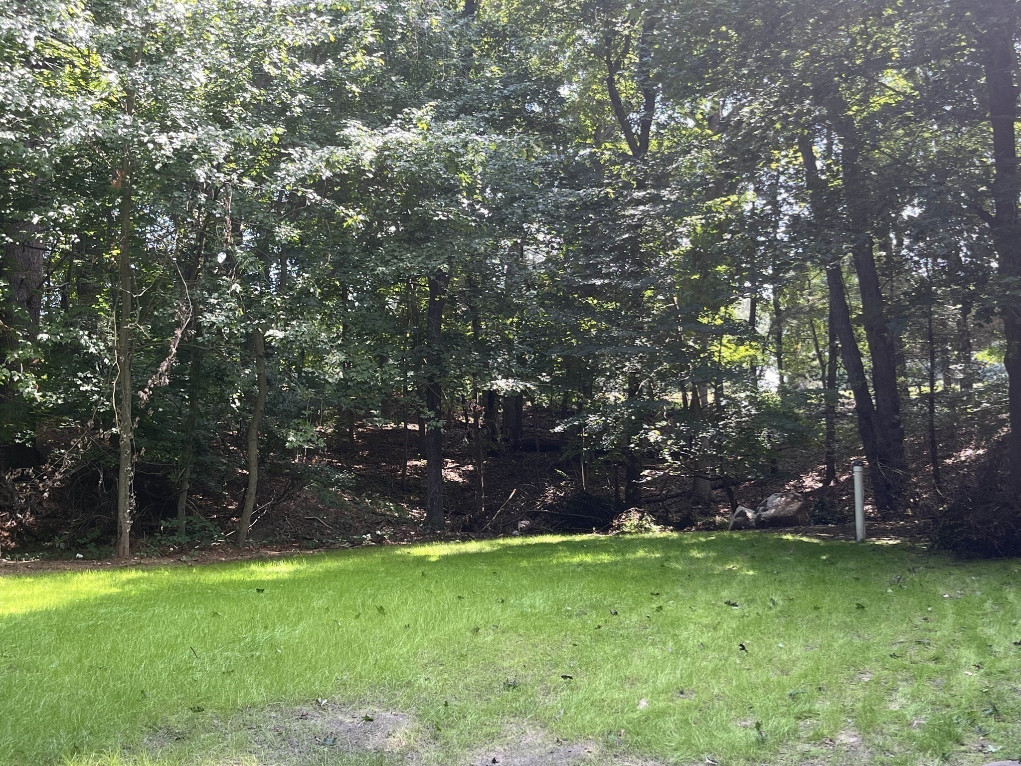 5 Carbrey Avenue Property Photo 42