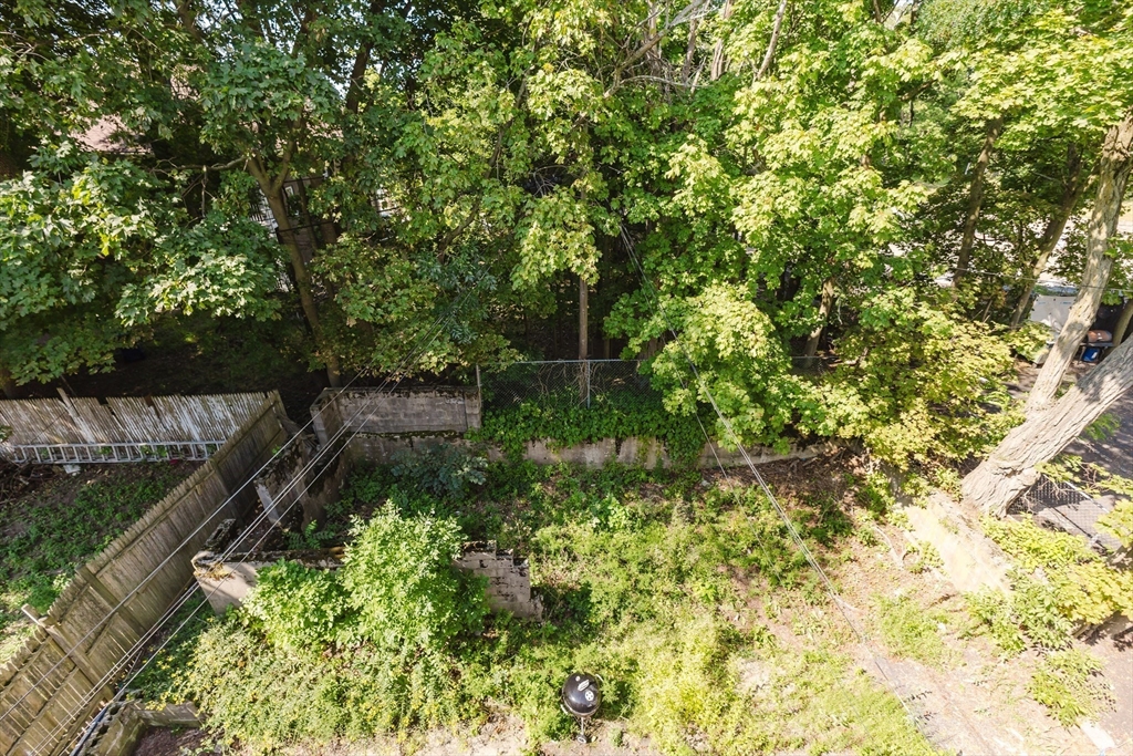 15 Mclellan St Property Photo 39