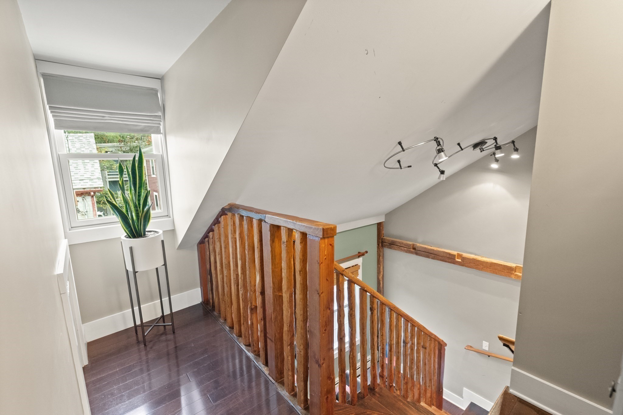 17 Daniels Street # 1 Property Photo 18