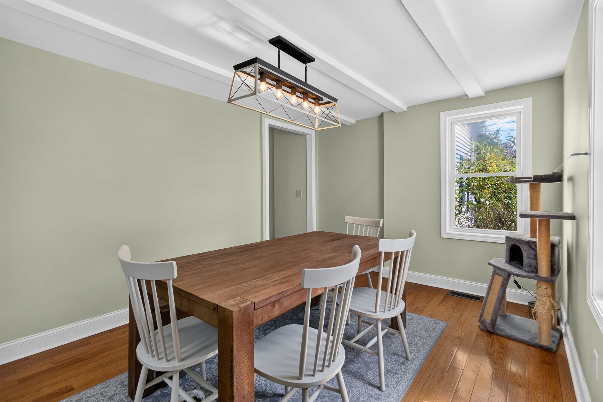 6 Carter Pl Property Photo 17