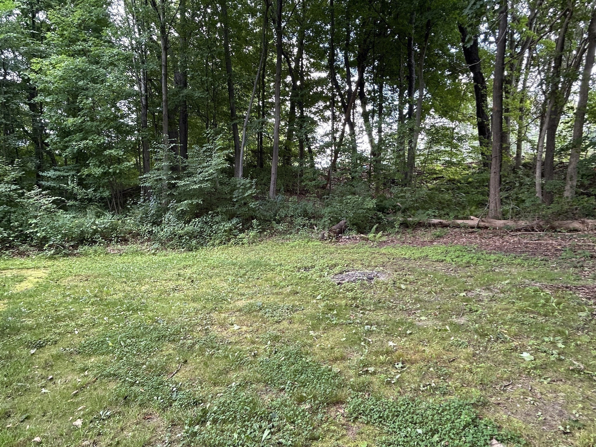 410 Silver St Property Photo 5