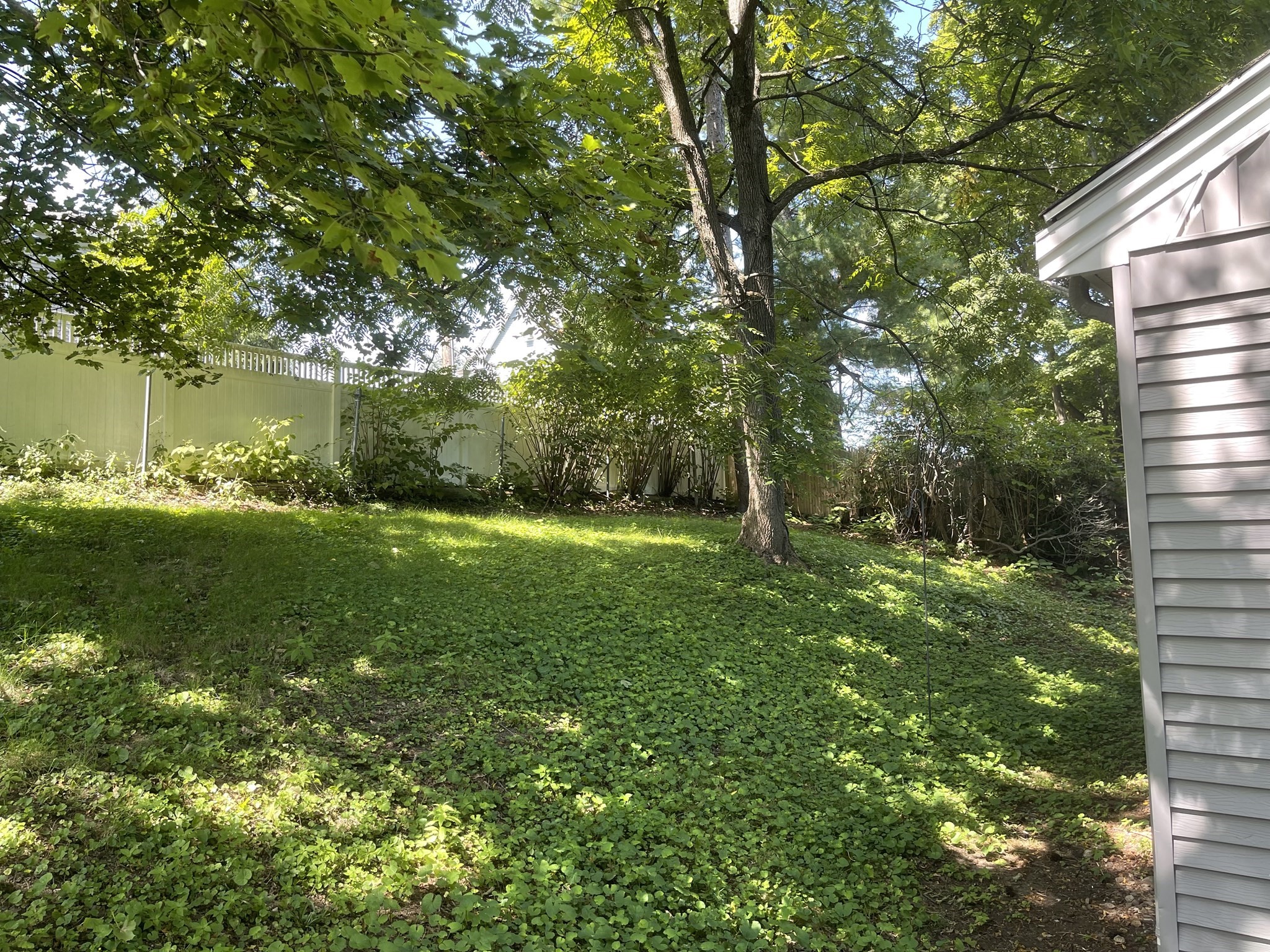 319 Church St Property Photo 3