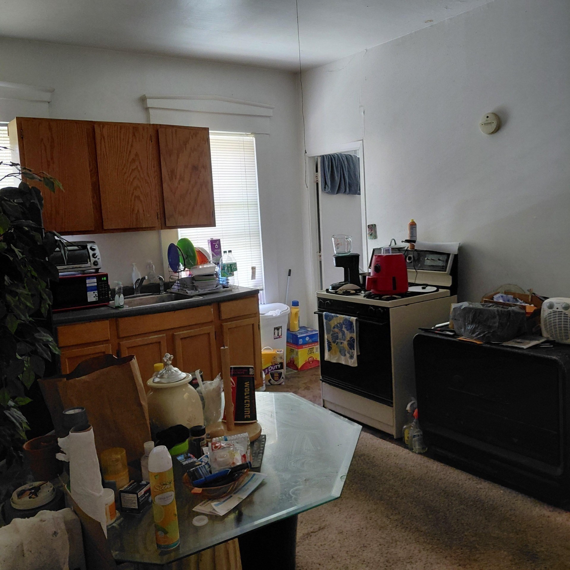 32 Franklin Street Property Photo 9