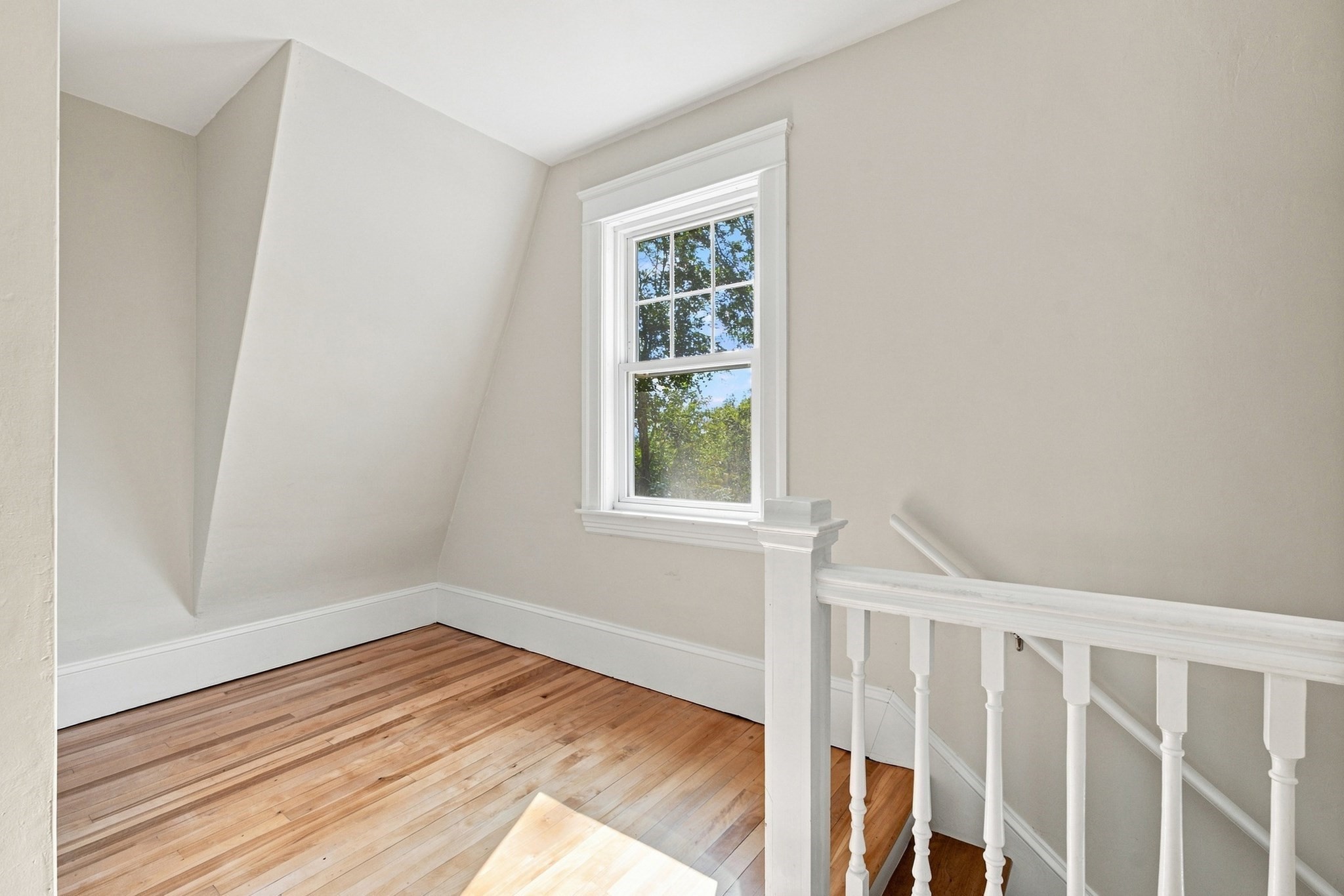 31 Barnard Rd Property Photo 18