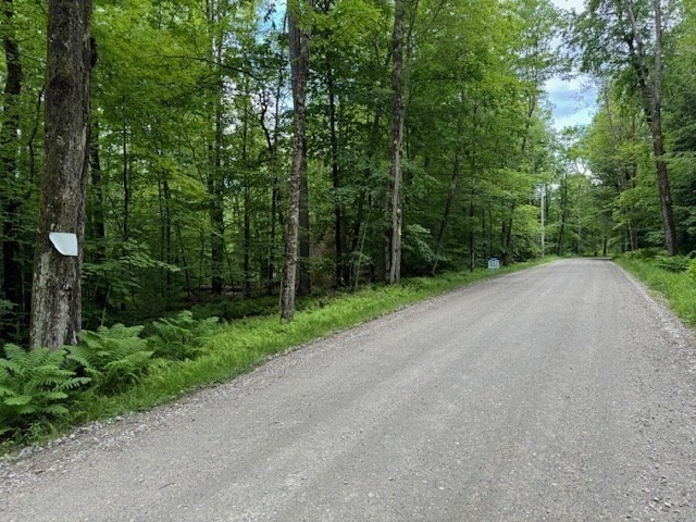 Lot 121 Davis Mine Rd Property Photo 2