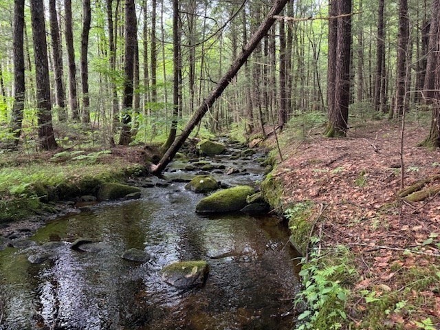 Lot 121 Davis Mine Rd Property Photo 3