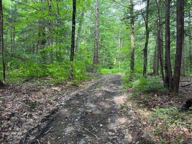 Lot 121 Davis Mine Rd Property Photo 4