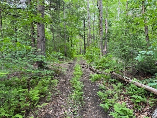 Lot 121 Davis Mine Rd Property Photo 5