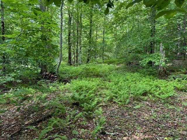 Lot 121 Davis Mine Rd Property Photo 6