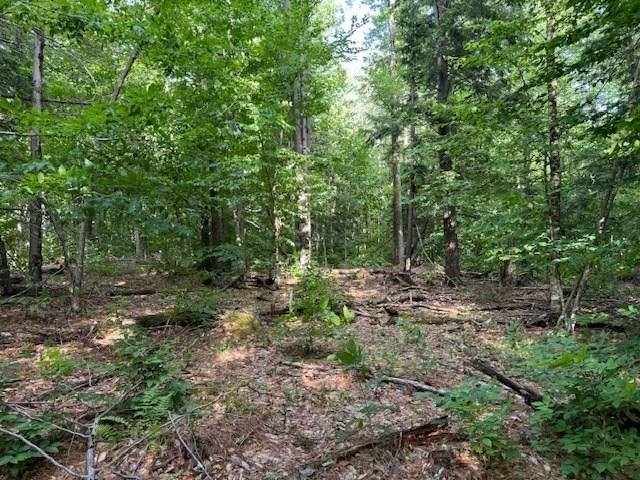 Lot 121 Davis Mine Rd Property Photo 7