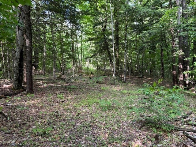 Lot 121 Davis Mine Rd Property Photo 8
