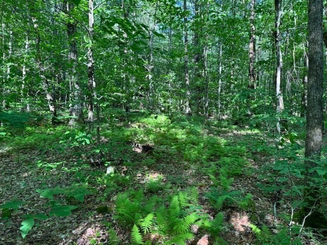 Lot 121 Davis Mine Rd Property Photo 9