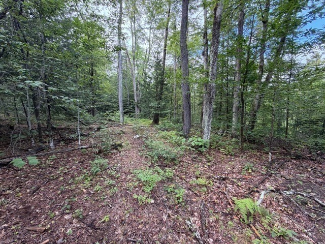 Lot 121 Davis Mine Rd Property Photo 10
