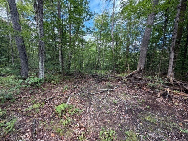 Lot 121 Davis Mine Rd Property Photo 11