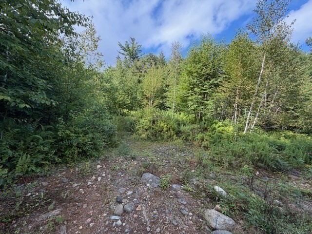 Lot 121 Davis Mine Rd Property Photo 12