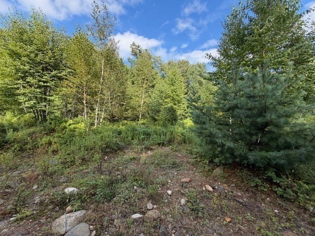 Lot 121 Davis Mine Rd Property Photo 13