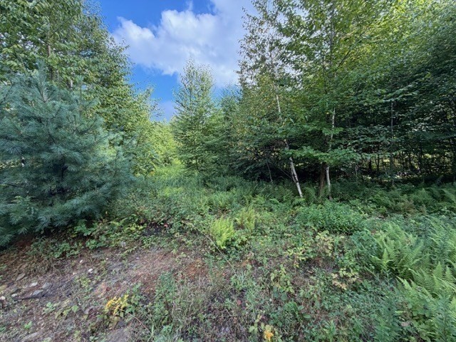 Lot 121 Davis Mine Rd Property Photo 14