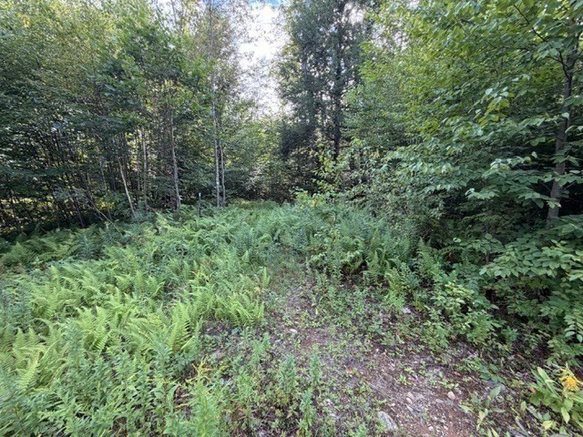 Lot 121 Davis Mine Rd Property Photo 15