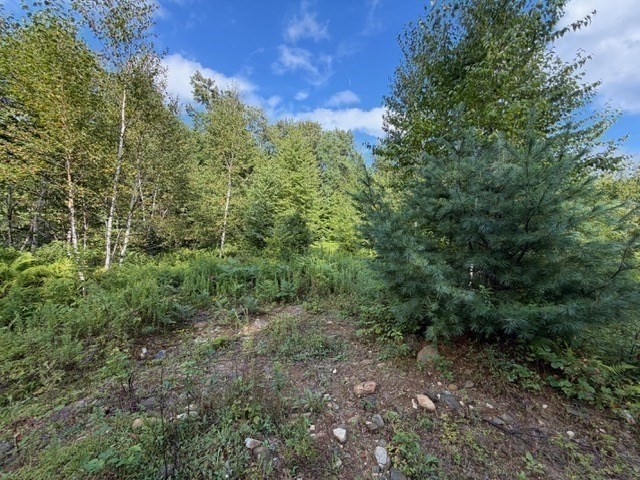 Lot 121 Davis Mine Rd Property Photo 16