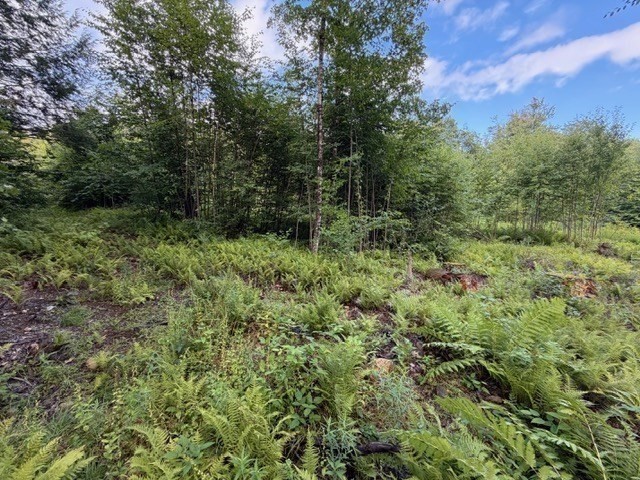 Lot 121 Davis Mine Rd Property Photo 17