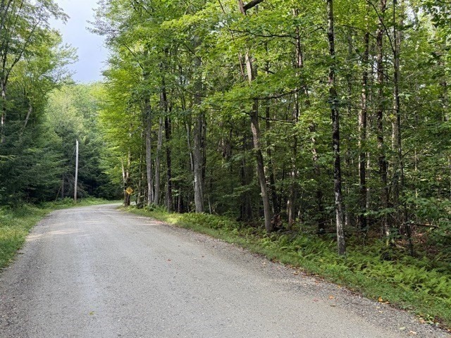 Lot 121 Davis Mine Rd Property Photo 18