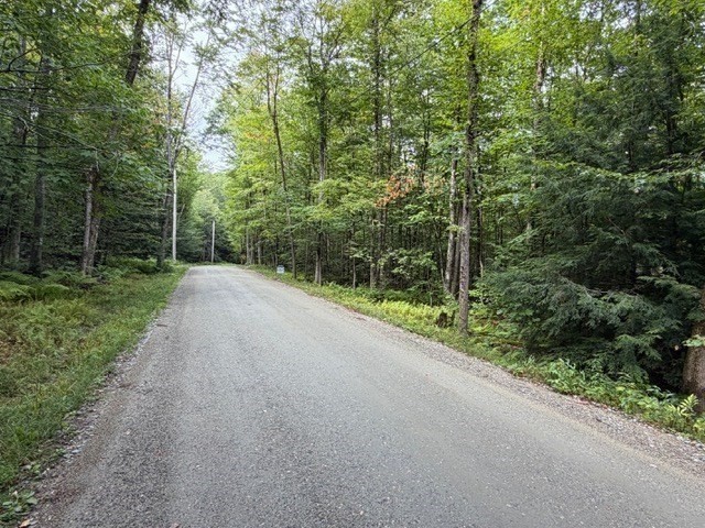 Lot 121 Davis Mine Rd Property Photo 19