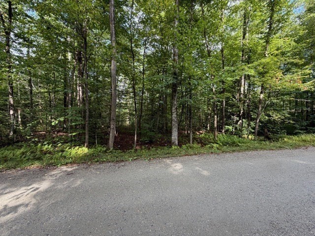 Lot 121 Davis Mine Rd Property Photo 21