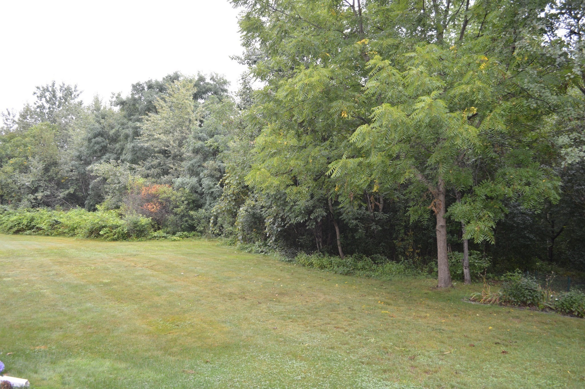 25 Oakes Cir # 25 Property Photo 22