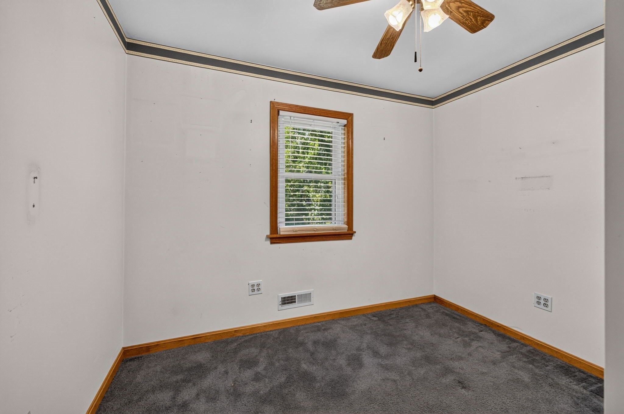 1 Vincent St Property Photo 30
