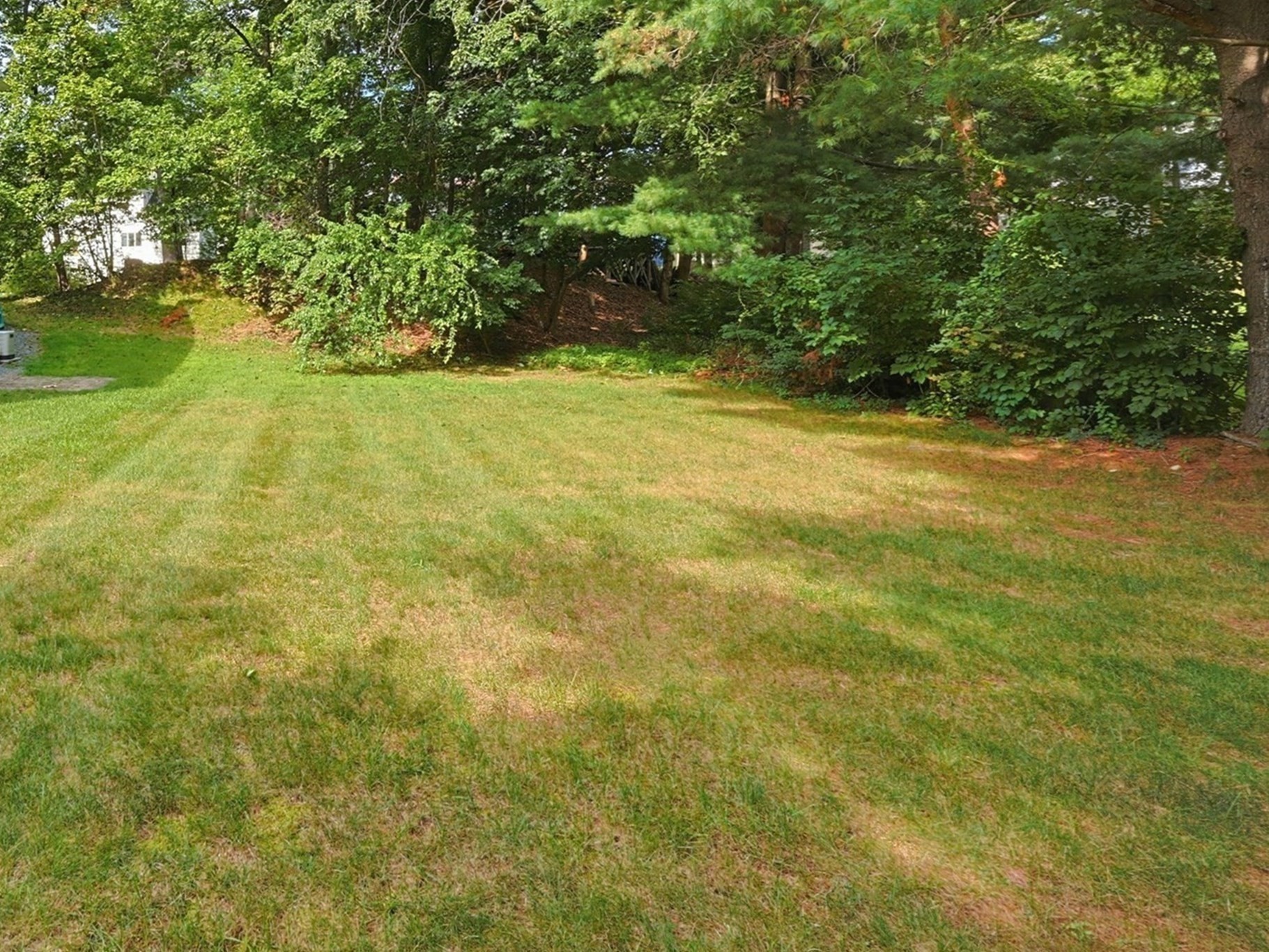 14 Carol Dr # 14 Property Photo 25