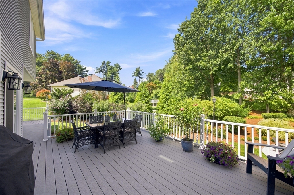 54 Blueberry Rdg Property Photo 9