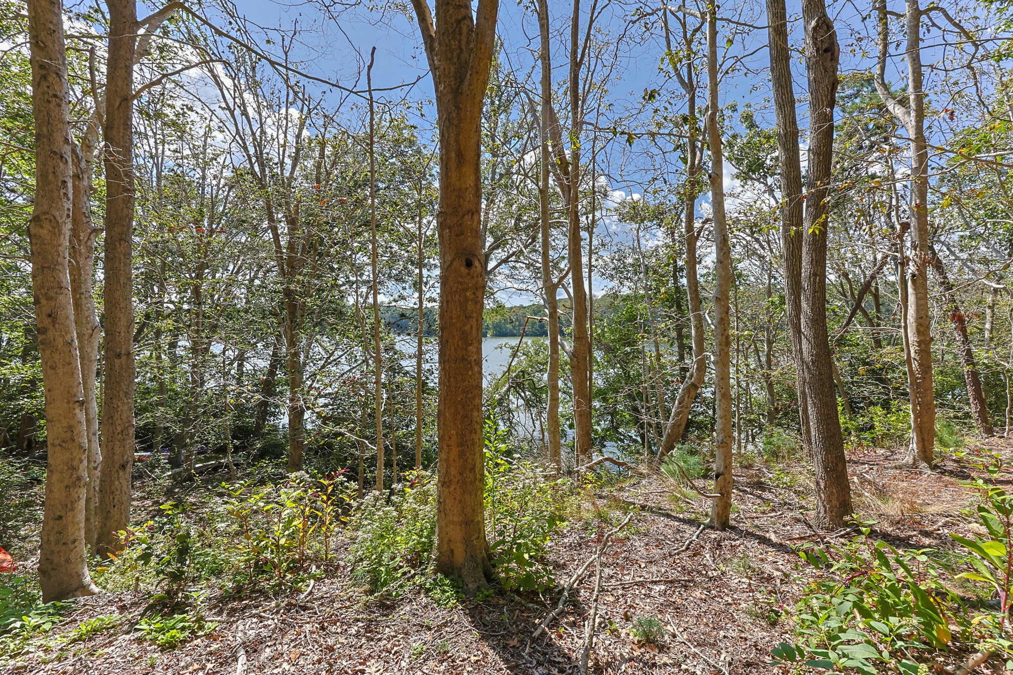 35 Santuit Pond Way # 13a Property Photo 35