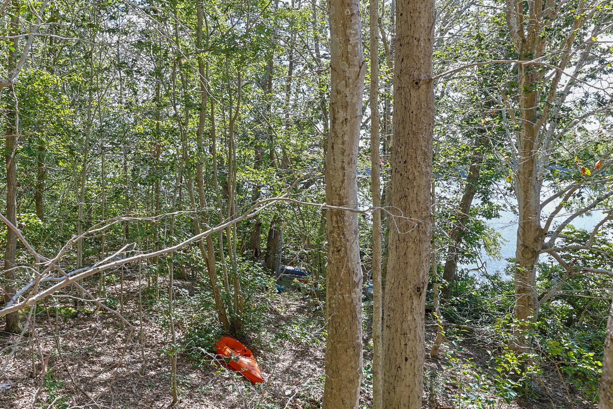 35 Santuit Pond Way # 13a Property Photo 37