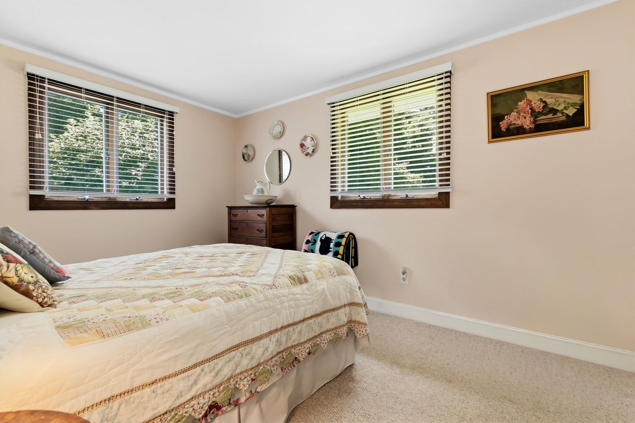 8 Colgate Rd Property Photo 21