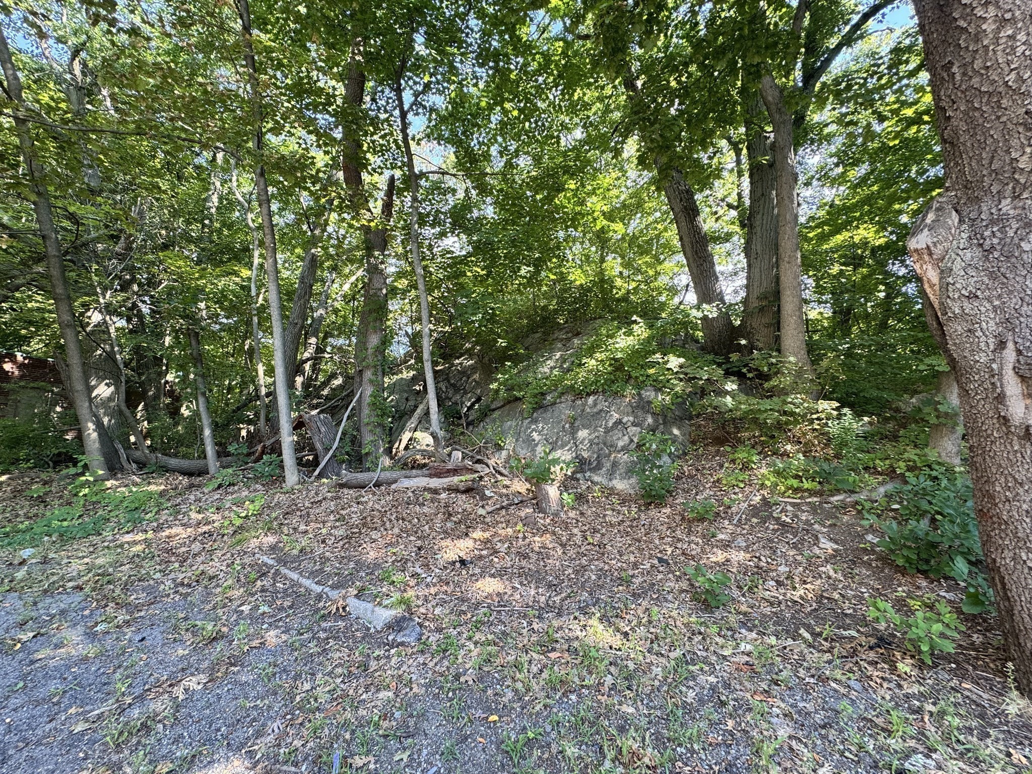 179 Hebron St Property Photo 10