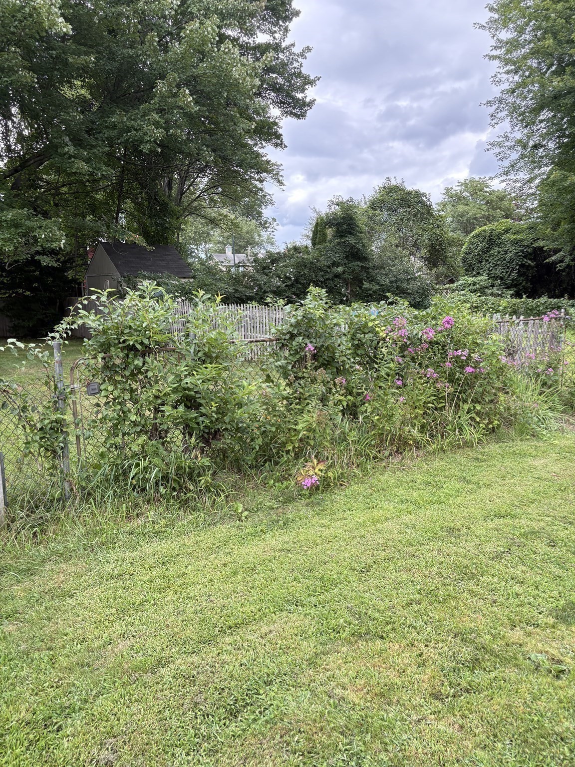 88 Carr Avenue Property Photo 31