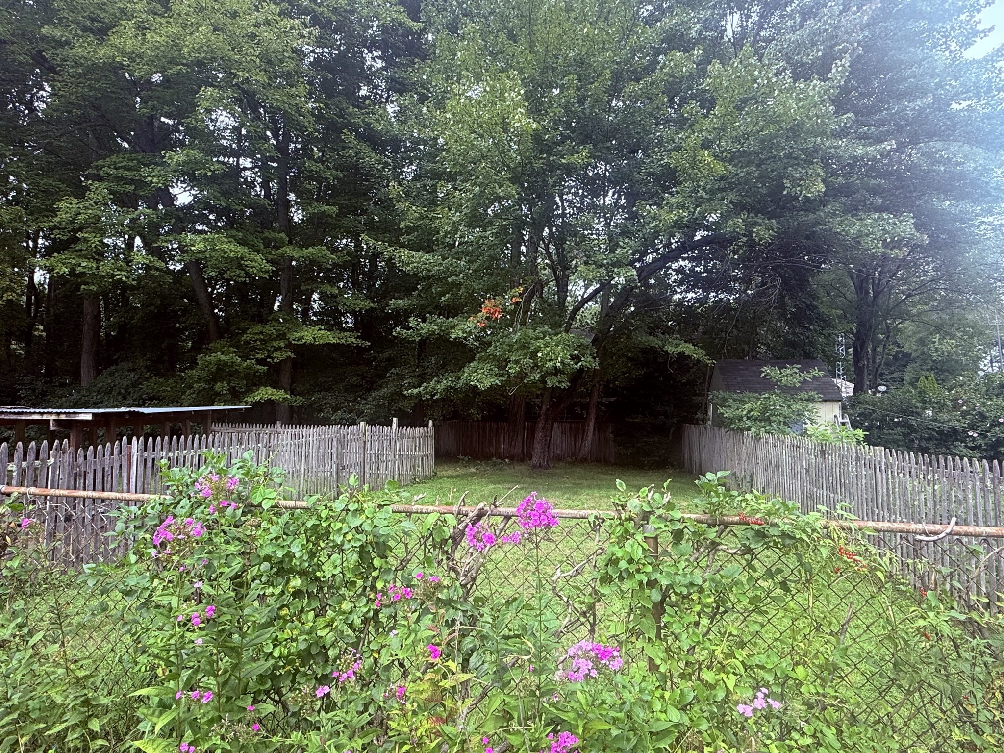 88 Carr Avenue Property Photo 37