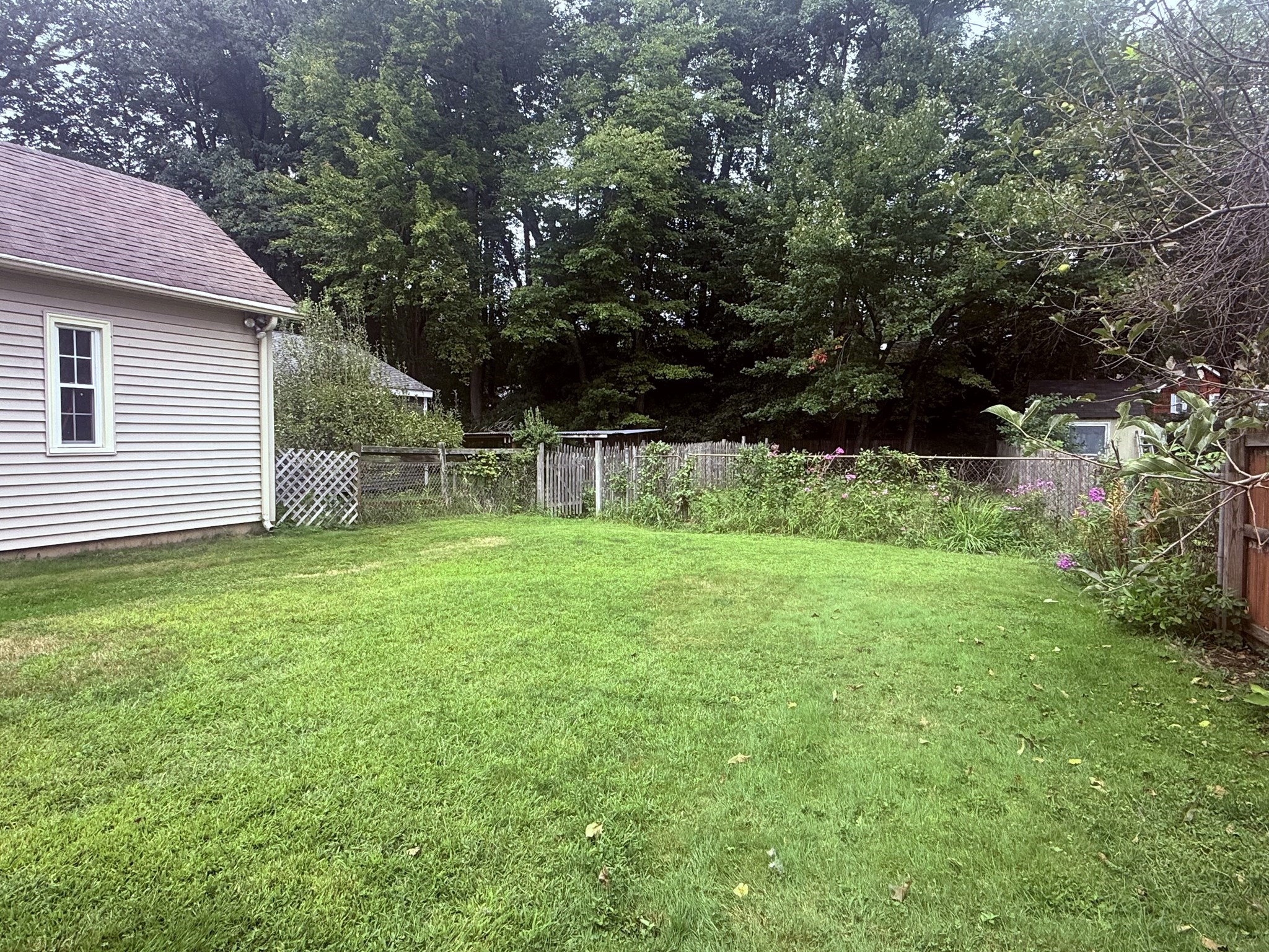 88 Carr Avenue Property Photo 38