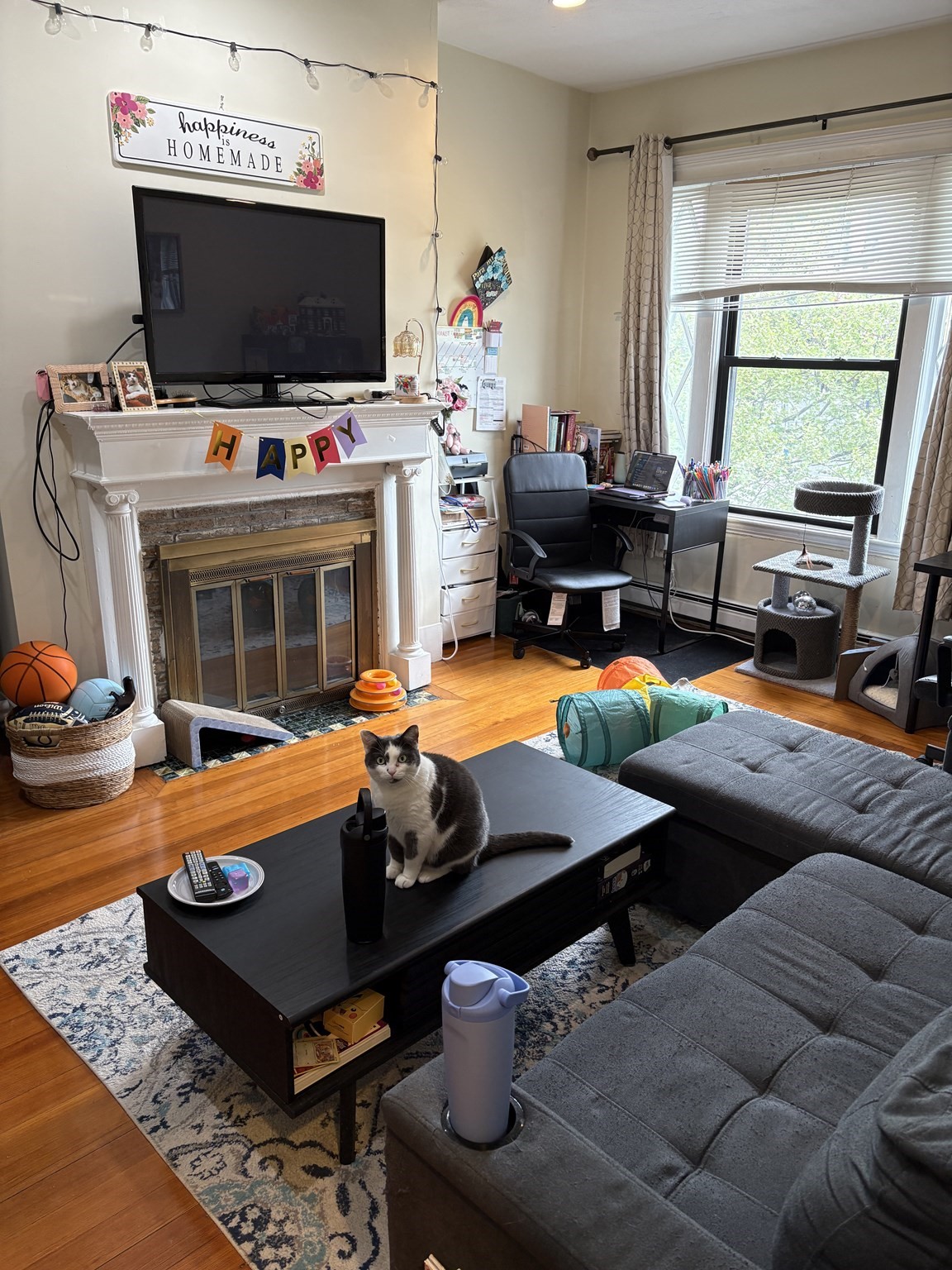 1672 Beacon St # 3b Property Photo 2