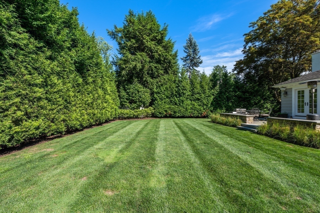 32 Arlington Road Property Photo 41