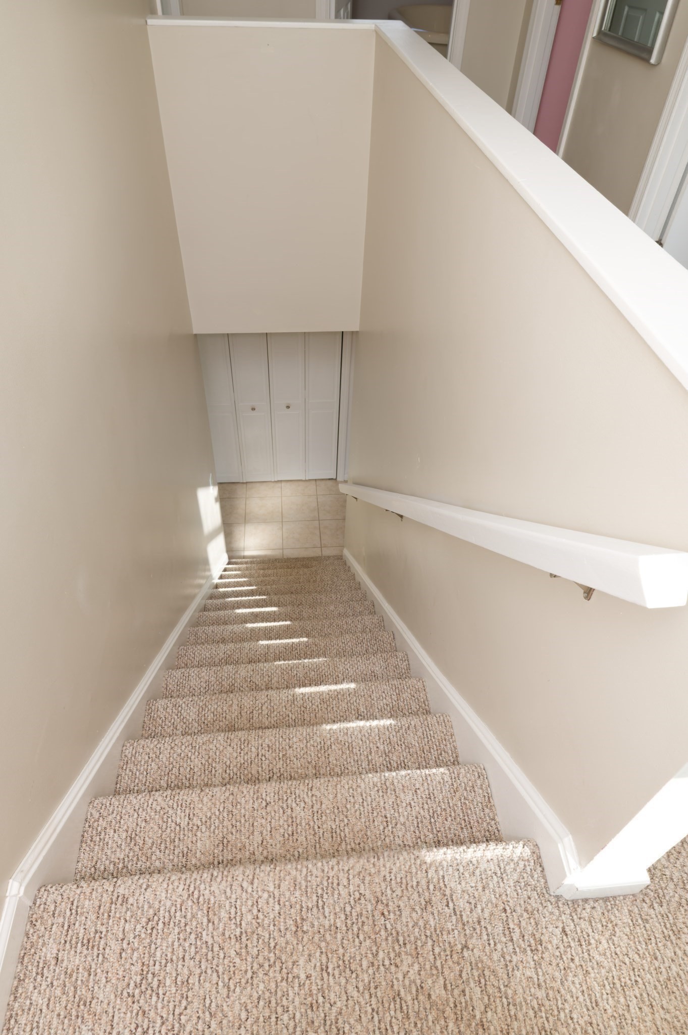 11 Pitt Rd. Property Photo 17
