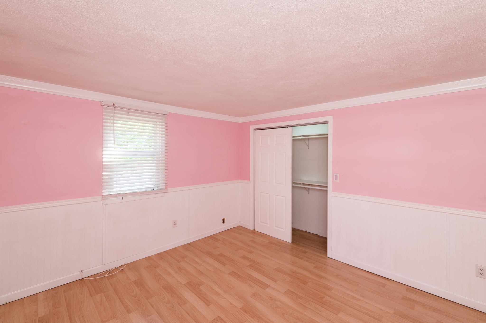 11 Pitt Rd. Property Photo 24