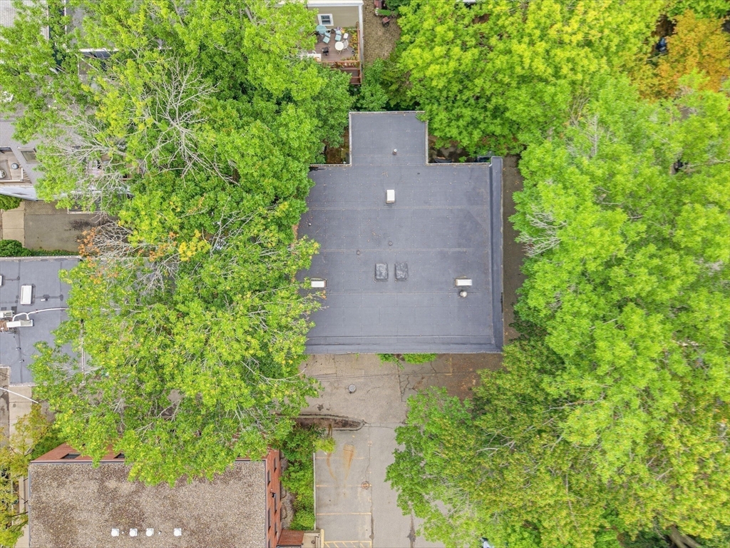 15 Fallon Pl # 15a Property Photo 26