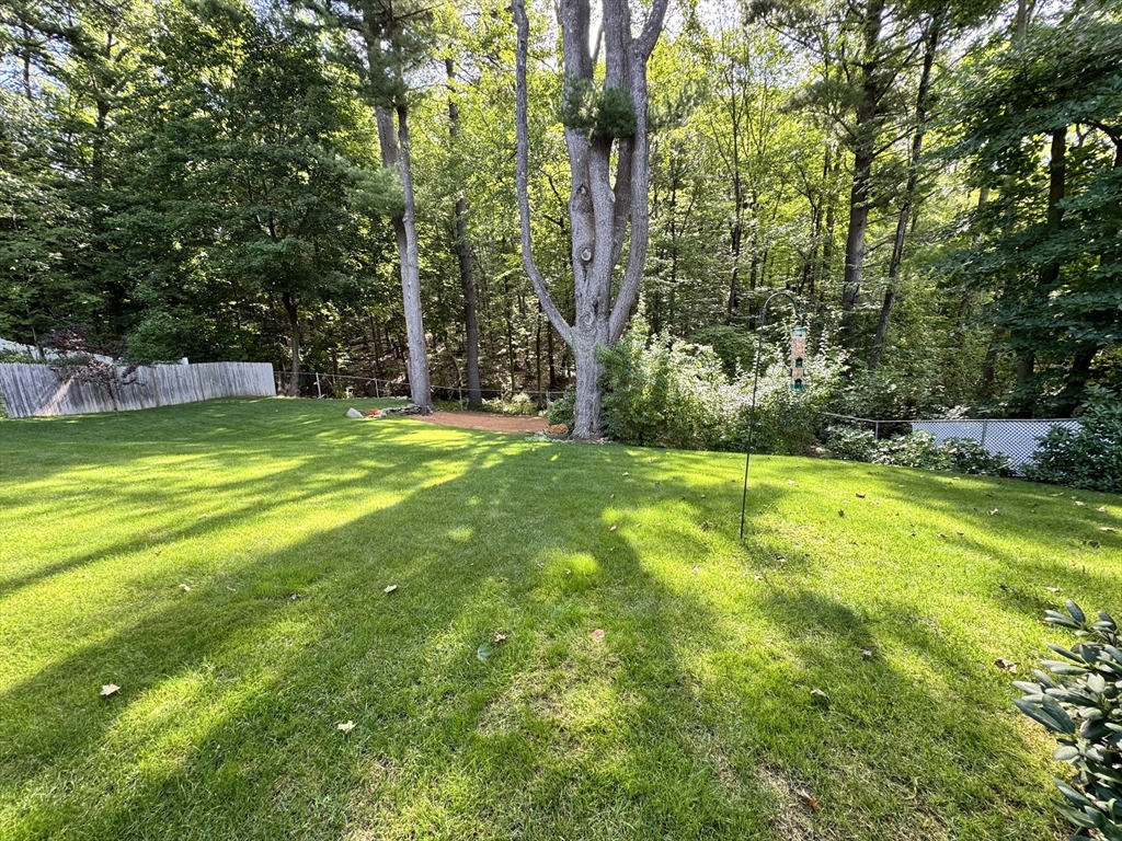 56 Valleyview Rd Property Photo 21