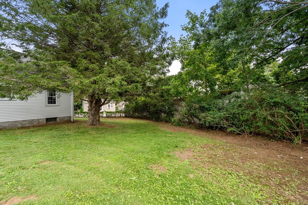 16 Highland Park Rd Property Photo 15